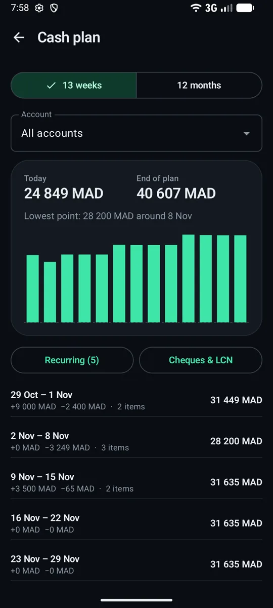 Cash plan with 13-week forecast
